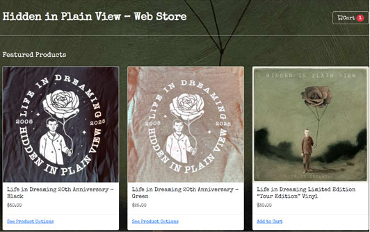 Hidden in Plain View Webstore